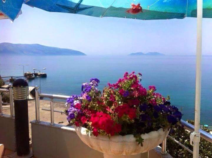 Vlora Apartments Eksteriør bilde
